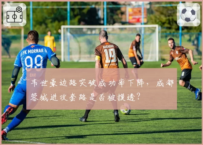 韦世豪边路突破成功率下降，成都蓉城进攻套路是否被摸透？