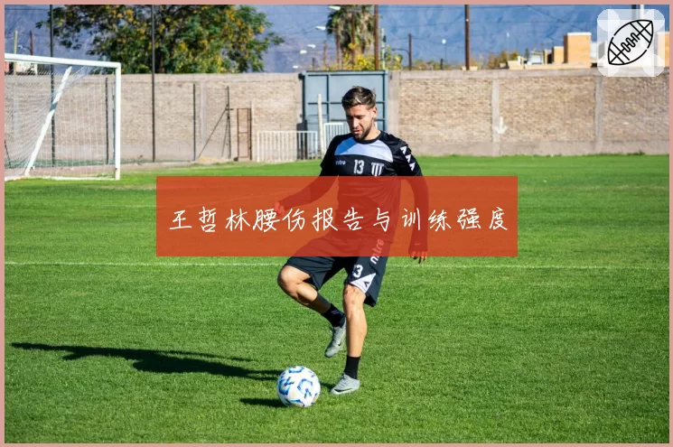 王哲林腰伤报告与训练强度