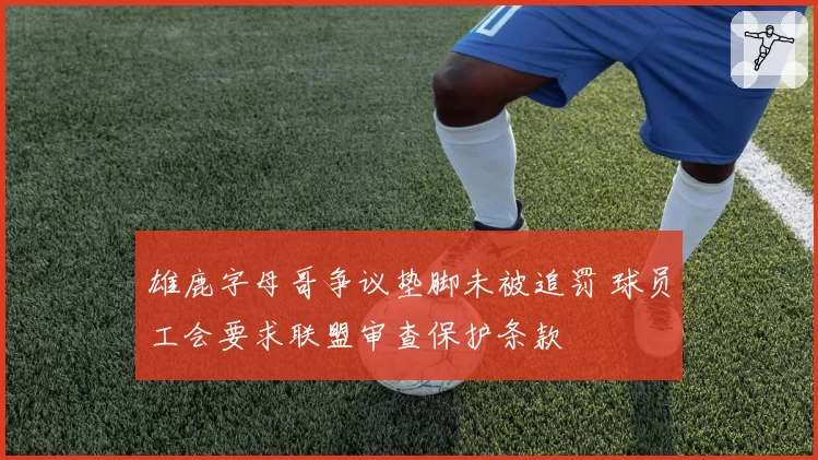 雄鹿字母哥争议垫脚未被追罚 球员工会要求联盟审查保护条款